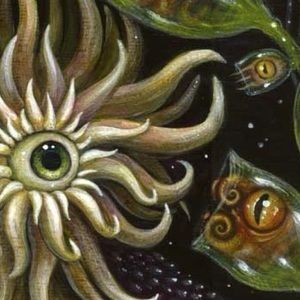 Meet your Posher, Mauri